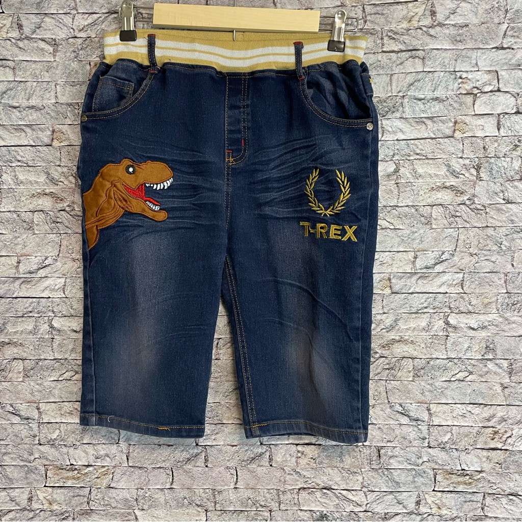 Dinosaur Shorts With Embroidered Dinosaur